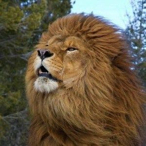 Meet your Posher, Sergio